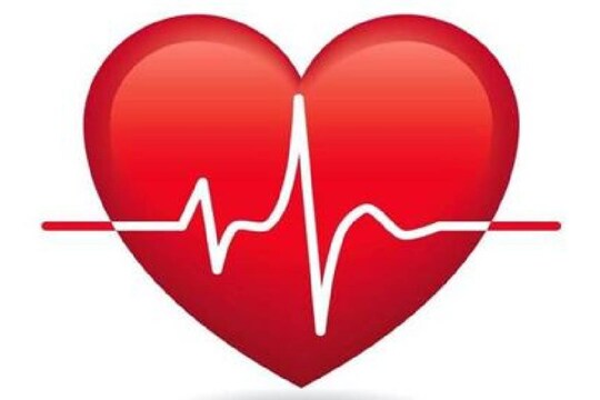 Heart