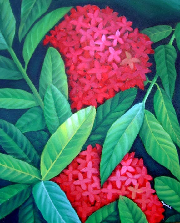  ഓണപ്പൂക്കൾ (ചിത്രം- മുരളി നാഗപ്പുഴ)