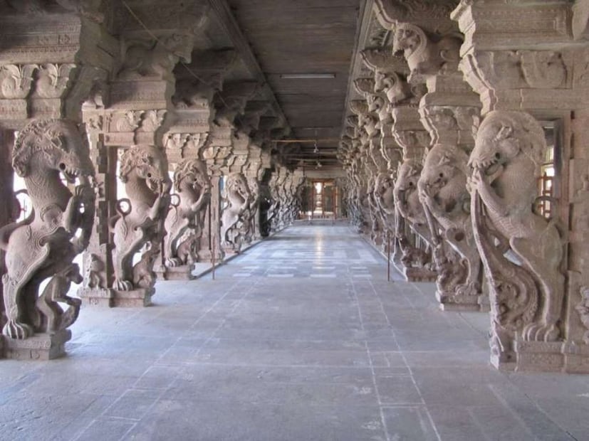 nellaiappar-temple-tirunelveli