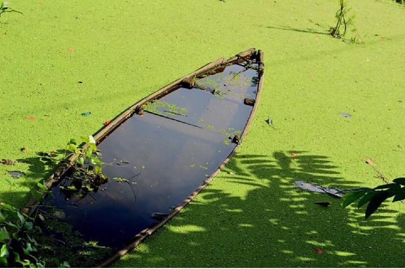  ഫോട്ടോ- ഫാ. ജിജോ കുര്യൻ