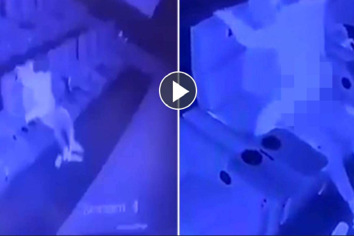  ലോക്ക്ഡൗണിന് ശേഷം തിയേറ്റർ തുറന്നപ്പോൾ അതിനുള്ളിൽ ക്യാമറയുണ്ടാവുമെന്ന ചിന്ത ഇവർക്ക് പോയില്ല എന്നതാണ് വാസ്തവം. രംഗങ്ങൾ ലീക് ആയി സോഷ്യൽ മീഡിയയിൽ എത്തുകയും ചെയ്തു