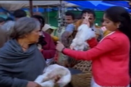 '30 കൊല്ലം മുമ്പ് മമ്മൂട്ടി നായകനായ നീലഗിരിയിൽ സുനിത കോഴി വിൽക്കുന്നത് കിലോ 35 രൂപയ്ക്ക്'; കോഴിവിലയിൽ ഒരു 'ബൗദ്ധിക' സംവാദം '30 കൊല്ലം മുമ്പ് മമ്മൂട്ടി നായകനായ നീലഗിരിയിൽ സുനിത കോഴി വിൽക്കുന്നത് കിലോ 35 രൂപയ്ക്ക്'; കോഴിവിലയിൽ ഒരു 'ബൗദ്ധിക' സംവാദം