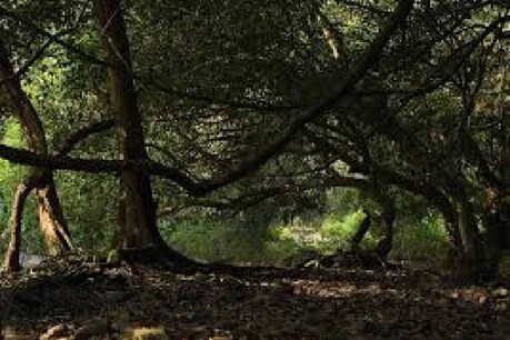 പരിസ്ഥിതി സചേതന മേഖലയുടെ കരട് റിപ്പോർട്ട് മലയാളത്തിൽ പ്രസിദ്ധീകരിക്കണമെന്ന് ഹൈക്കോടതി; സമരങ്ങൾ തുടരുമെന്ന് കർഷകർ പരിസ്ഥിതി സചേതന മേഖലയുടെ കരട് റിപ്പോർട്ട് മലയാളത്തിൽ പ്രസിദ്ധീകരിക്കണമെന്ന് ഹൈക്കോടതി; സമരങ്ങൾ തുടരുമെന്ന് കർഷകർ