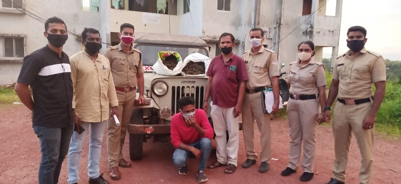  റെയ്ഡില്‍ രണ്ട് വലിയ ചാക്കുകളിലായി സൂക്ഷിച്ച കഞ്ചാവ് കണ്ടെത്തുകയായിരുന്നു. പിന്നീട് യുവാവിനെ വിളിച്ചു വരുത്തി അറസ്റ്റു ചെയ്തു. കുമ്പളയിലും പരിസരത്തും വില്‍പന നടത്താന്‍ കര്‍ണാടകയില്‍ നിന്നും എത്തിച്ചതായിരുന്നു കഞ്ചാവ്.