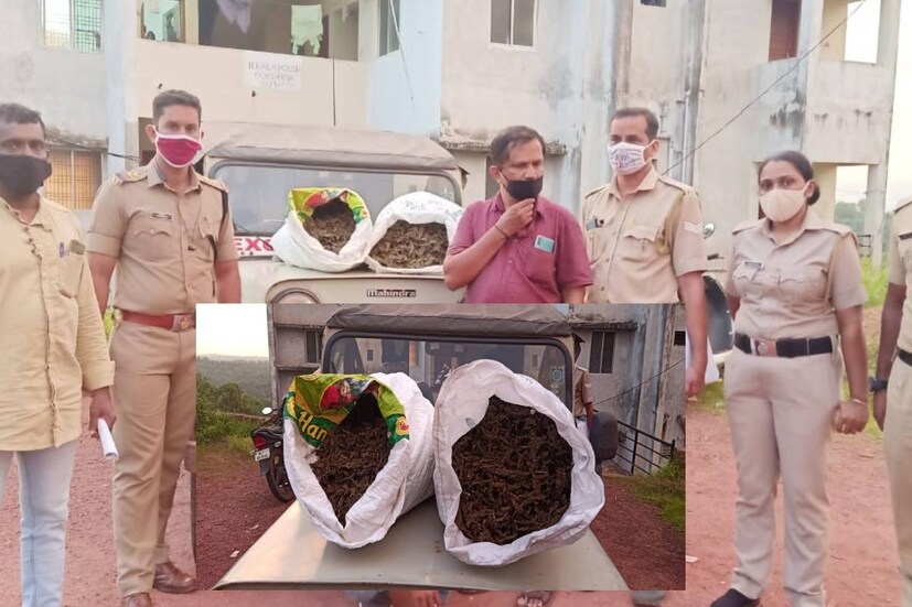  കാസര്‍ഗോഡ്: മഞ്ചേശ്വരം വോര്‍ക്കാടിയിൽ അപ്പാര്‍ട്ട്‌മെന്റില്‍ വിൽപ്പനക്കായി എത്തിച്ച കഞ്ചാവ് ശേഖരം എക്‌സൈസ് അധികൃതര്‍ പിടികൂടി. 18.5 കിലോ കഞ്ചാവാണ് കണ്ടെത്തിയത്. സംഭവവുമായി ബന്ധപ്പെട്ട് ഒരാള്‍ അറസ്റ്റിലായി.