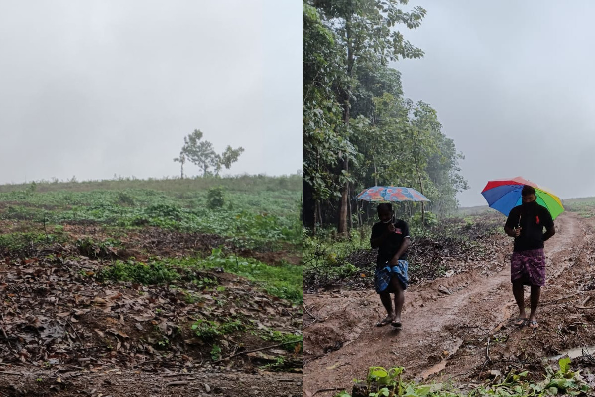 കാത്തിരിപ്പിനൊടുവിൽ കവളപ്പാറക്കാർക്ക് ആഗ്രഹിച്ച ഭൂമി ലഭിച്ചു