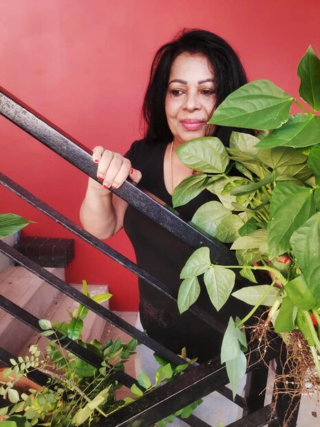  ചെങ്ങന്നൂരിൽ നിന്നും തിരുവനന്തപുരത്തേക്ക് താമസം മാറ്റിയ ശോഭനാ ജോർജ് ഫ്ലാറ്റിൽ പച്ചക്കറി കൃഷിയും ആരംഭിച്ചിട്ടുണ്ട്. ഏതാണ്ട് എല്ലാ പച്ചക്കറിയും ഫ്ലാറ്റിൽ നട്ടിട്ടുണ്ടെന്ന് ശോഭന പറഞ്ഞു. ഇതിൽ നിന്ന് പ്രചോദനം ഉൾക്കൊണ്ട് നിരവധി വീട്ടമ്മമാർ പച്ചക്കറിക്കൃഷി ആരംഭിച്ചു.