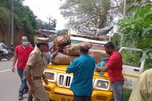 തിരുവനന്തപുരത്ത് വീണ്ടും ലഹരി വേട്ട; 100 കിലോ കഞ്ചാവും 4 കോടിയുടെ ഹാഷീഷ് ഓയിലും പിടിച്ചെടുത്തു