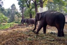 പുണ്യാളൻ അഗർബത്തീസ്‌ സിനിമ മാത്രമല്ല...! നവീന ആശയങ്ങളുമായി 'അഭയാരണ്യം'