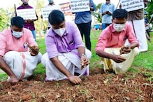 കെ.എം ഷാജിക്കെതിരെ ഇഞ്ചി നടൽ സമരവുമായി ഡി വൈ എഫ് ഐ