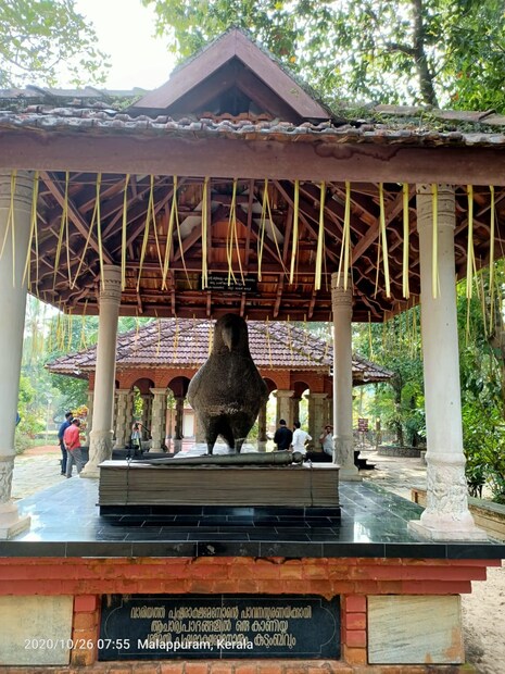  "സാധാരണ എല്ലാ ദിവസവും തുഞ്ചൻ പറമ്പിൽ ഹരിശ്രീ കുറിക്കാൻ അവസരം ഉണ്ട്. നിരോധനാജ്ഞ പിൻവലിച്ചാൽ അടുത്ത മാസം മുതൽ തുഞ്ചൻ പറമ്പിൽ സാധാരണ പോലെ വിദ്യാരംഭം കുറിക്കാൻ അവസരം ഉണ്ടാകും." - അദ്ദേഹം പറഞ്ഞു.
