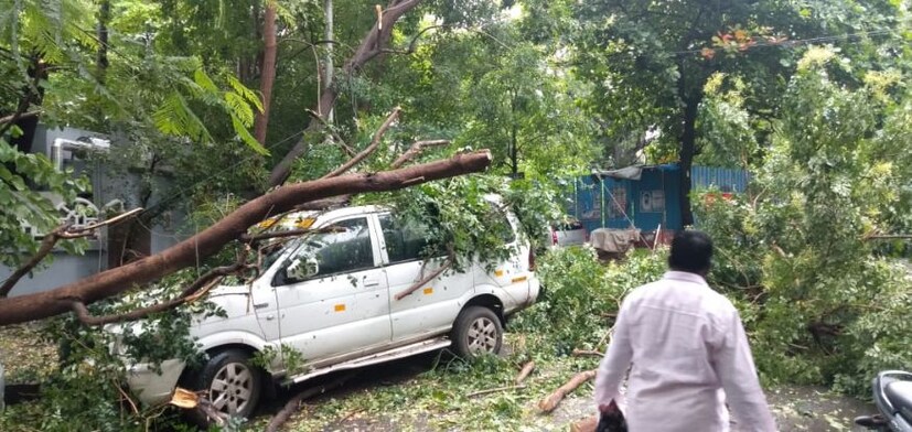  ശക്തമായ കാറ്റിൽ നിരവധി മരങ്ങൾ കടപുഴകി വീണു.  (Image: News18 Tamil)
