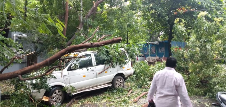  ശക്തമായ കാറ്റിൽ നിരവധി മരങ്ങൾ കടപുഴകി വീണു.  (Image: News18 Tamil)