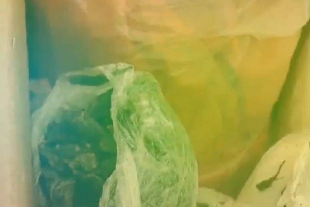  കൊച്ചിയിലെ ഫ്ലാറ്റിൽ നിന്നും കഞ്ചാവ് പിടികൂടിയ സംഭവത്തിൽ രണ്ട് പേരെ പൊലീസ് അറസ്റ്റ് ചെയ്തു. തലശ്ശേരി സ്വദേശി റഹീസ്, മരട് സ്വദേശി അഖിലേഷ് എന്നിവരാണ് പിടിയിലായത്. 