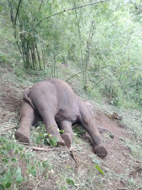  പോസ്റ്റുമോർട്ടത്തിന് ശേഷമേ മരണ കാരണം വ്യക്തമാകുകയുള്ളു.