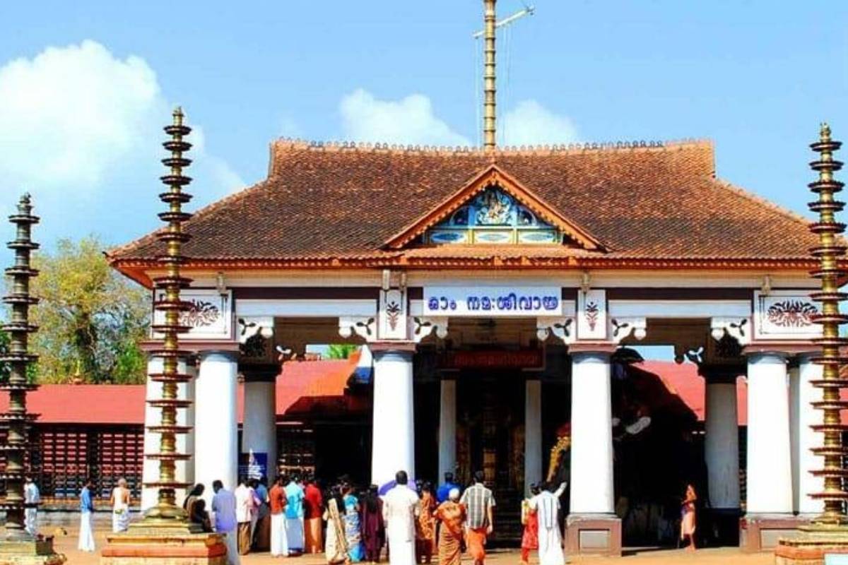 മേൽശാന്തി അണലിയെ ചവിട്ടി;  രക്ഷപ്പെട്ടത് ഭാഗ്യം കൊണ്ട്