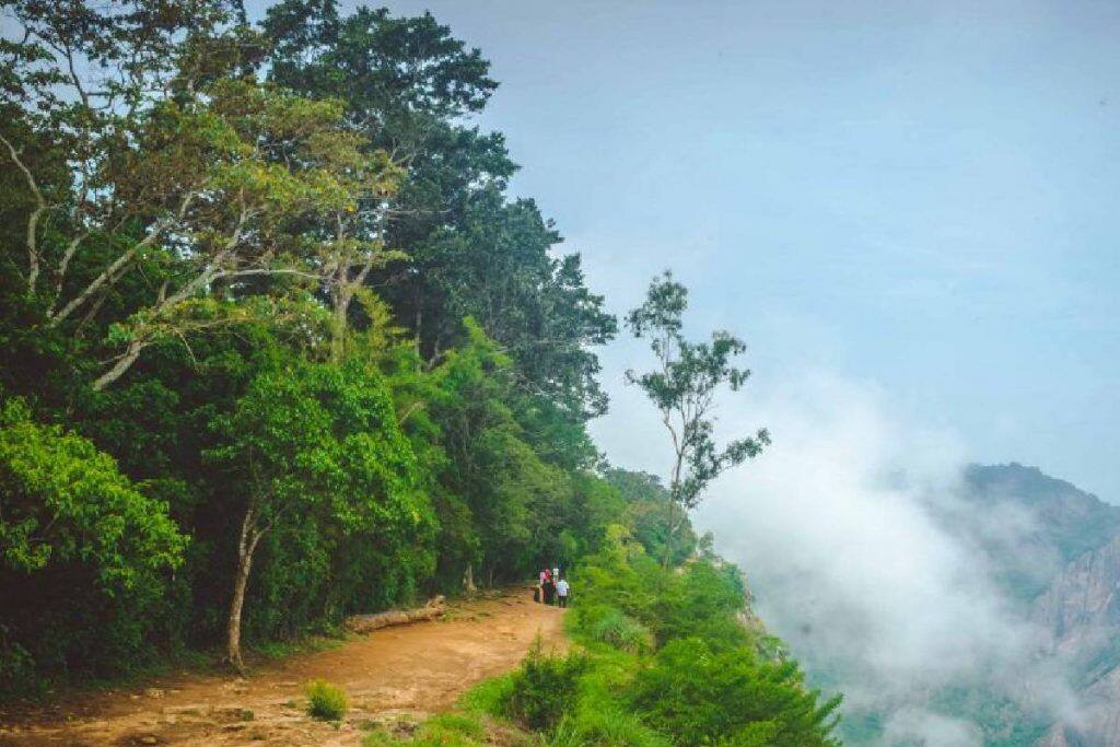  പാലക്കാട്: നെല്ലിയാമ്പതി സന്ദർശിക്കാനെത്തിയ രണ്ടുപേരെ സീതാർകുണ്ട് വ്യൂപോയിന്റിൽനിന്നു കൊക്കയിലേക്കു വീണു കാണാതായി. ഒറ്റപ്പാലം മേലൂർ സ്വദേശി സന്ദീപ് (22), കോട്ടായി സ്വദേശി രഘുനന്ദൻ (22) എന്നിവരാണു കാൽവഴുതി വീണത്. ഞായറാഴ്ച വൈകിട്ടു അഞ്ചരയോടെയായിരുന്നു അപകടം.