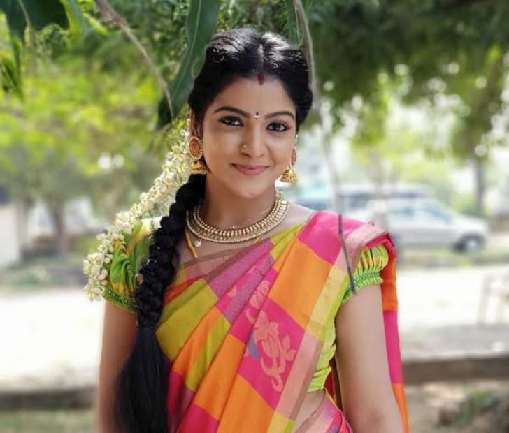  കുറച്ചു മാസങ്ങൾക്ക് മുമ്പായിരുന്നു വിവാഹം നടന്നത് എന്ന വിവരം ഹേമന്ദ് തന്നെയാണ് പൊലീസിനെ അറിയിച്ചത്. സീരിയലിൽ നായകൻമാരുമായി അടുത്തിടപഴകിയുള്ള രംഗങ്ങൾ ചിത്ര ചെയ്യുന്നതിൽ ഹേമന്ദിന് ദേഷ്യം ഉണ്ടായിരുന്നു എന്നാണ് അന്വേഷണ സംഘം പറയുന്നത്.