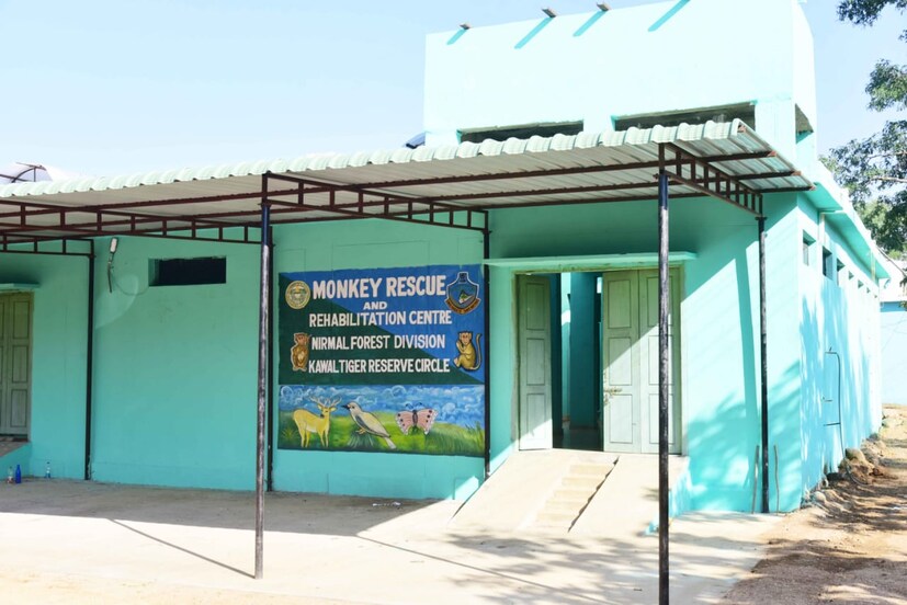  കുരങ്ങുകളുടെ എണ്ണം വര്‍ധിച്ചതോടെ സംസ്ഥാനത്തിന്‍റെ വിവിധ മേഖലകളിൽ ഇവയെക്കൊണ്ടുള്ള ശല്യവും വർധിച്ചിട്ടുണ്ട്. കുരങ്ങുകളുടെ എണ്ണം നിയന്ത്രിക്കാനുള്ള മാർഗങ്ങളും അധികം വൈകാതെ സ്വീകരിക്കുമെന്നാണ് വനംവകുപ്പ് അധികൃതർ പറയുന്നത്.