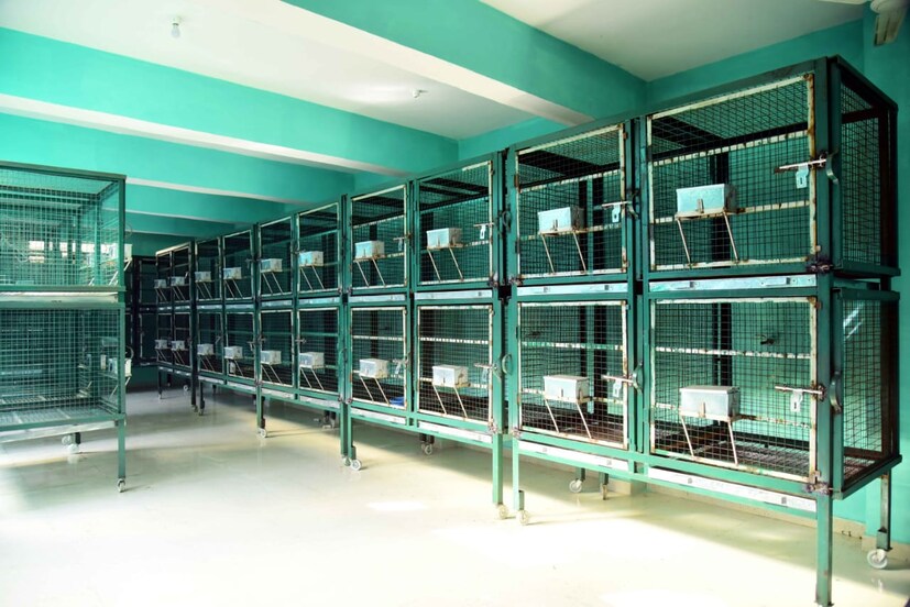  ' സംസ്ഥാനത്തിന്‍റെ വിവിധഭാഗങ്ങളിൽ ശല്യമുണ്ടാക്കുന്ന കുരങ്ങുകളെ ഇവിടെയെത്തിക്കും. തുടർന്ന് ഇവയുടെ എണ്ണം വർധിക്കാതിരിക്കാനുള്ള നിയന്ത്രണ സംവിധാനങ്ങൾ നടപ്പാക്കിയ ശേഷം വനത്തിലേക്ക് തന്നെ മടക്കി അയക്കും എന്നാണ് വനം വകുപ്പ് അധികൃതർ വ്യക്തമാക്കിയത്