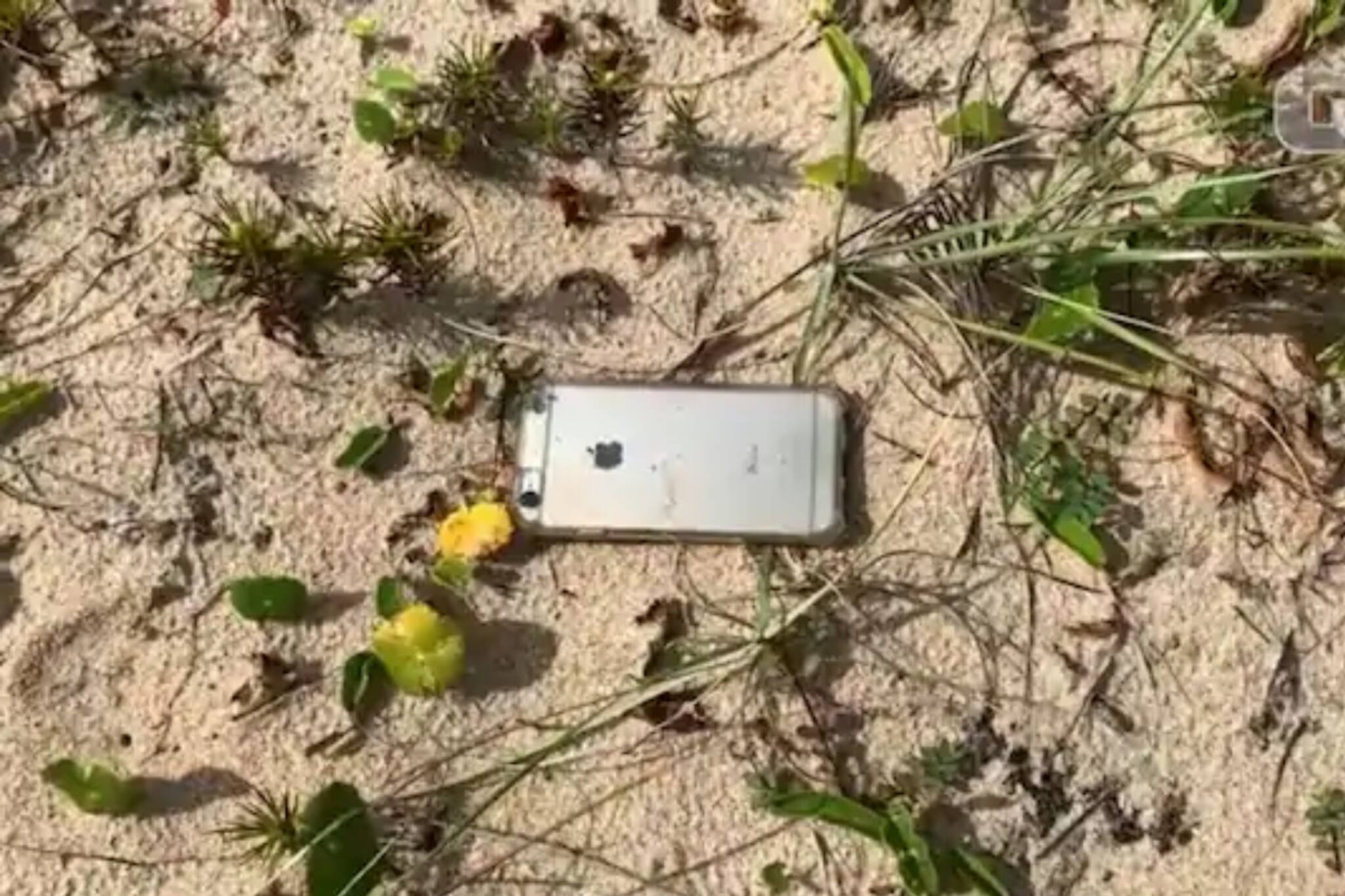 വിമാനത്തിൽ നിന്ന് താഴേക്ക് വീണിട്ടും ഐഫോണിന് ഒന്നും സംഭവിച്ചില്ല