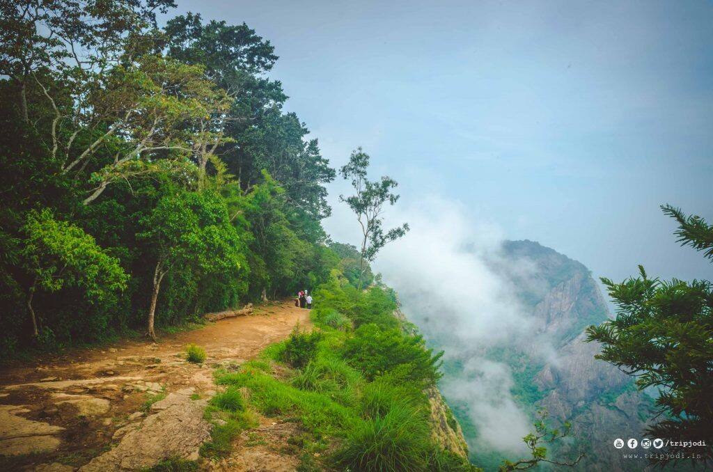  കൊക്കയിൽ, 50 മീറ്റർ താഴ്ചയിൽ ഇറങ്ങി പരിശോധിക്കാനായിരുന്നു തീരുമാനം. സീതാർകുണ്ടിനു താഴെ കൊല്ലങ്കോട് വനമേഖലയിലും ഫയർഫോഴ്‌സും പൊലീസും വനം വകുപ്പും അടങ്ങുന്ന സംഘം തിരച്ചിൽ നടത്തും. സമുദ്രനിരപ്പിൽനിന്നു 1572 മീറ്റർ ഉയരത്തിലാണു സീതാർകുണ്ട്.