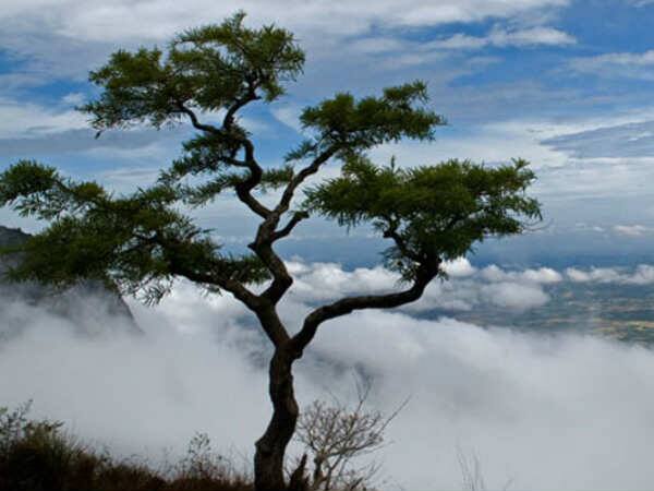  വ്യൂപോയിന്റ് സന്ദർശിക്കുന്നതിനിടെ സന്ദീപിന്റെ കാൽവഴുതി. രഘുനന്ദൻ, സന്ദീപിനെ രക്ഷിക്കാൻ ശ്രമിക്കുന്നതിനിടെ ഇരുവരും കൊക്കയിലേക്കു വീണതായി പൊലീസ് അറിയിച്ചു.
