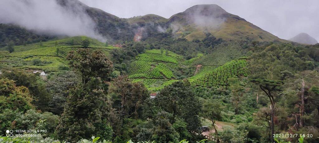  മാസങ്ങൾ കഴിഞ്ഞെങ്കിലും കനത്ത മഴയിൽ മലമുകളിൽ നിന്ന് ഊർന്നിറങ്ങിയ ഉരുളിന്റെ സഞ്ചാരപാത ഇപ്പോഴും വ്യക്തമായിക്കാണാം. ഒരു ഗ്രാമം തന്നെ അവിടെ നിന്ന് തുടച്ചുമാറ്റപ്പെട്ടു...... 