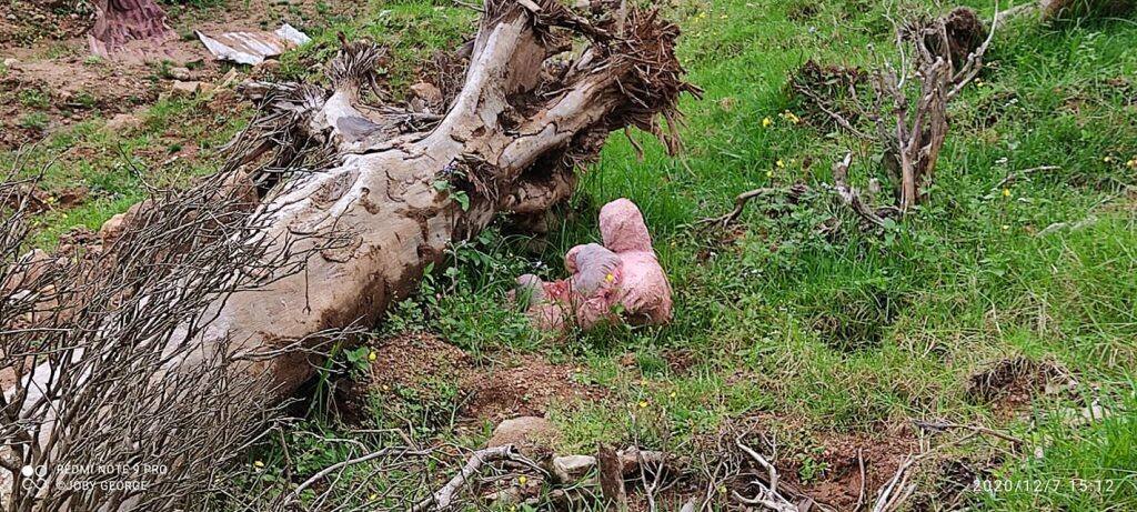  ഇത്തവണത്തെ ഇലക്ഷൻ ഡ്യൂട്ടി ദേവികുളം താലൂക്കിലെ ഗോത്രവർഗ്ഗ പഞ്ചായത്തായ ഇടമലക്കുടി , ഇടമലക്കുടി റിട്ടേണിങ്ങ് ഓഫീസറുടെ ടീമിൽ ആയിരുന്നു. മൂന്നാറിൽ നിന്നും ഏകദേശം 36 കിലോമീറ്റർ അകലെ വനത്തിൽ ഉള്ളിൽ ആയിട്ടാണ് ഈ ഗിരിവർഗ മേഖല ഡ്യൂട്ടിയുടെ ഭാഗമായി പെട്ടിമുടി വഴി പോകേണ്ടി വന്നു. 