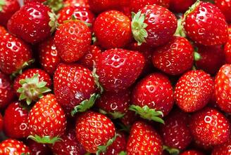 Vattavada Strawberry  സന്ദർശകർ എത്തി തുടങ്ങി; വട്ടവടയിലെ സ്ട്രോബറി കർഷകർ പ്രതീക്ഷയിൽ