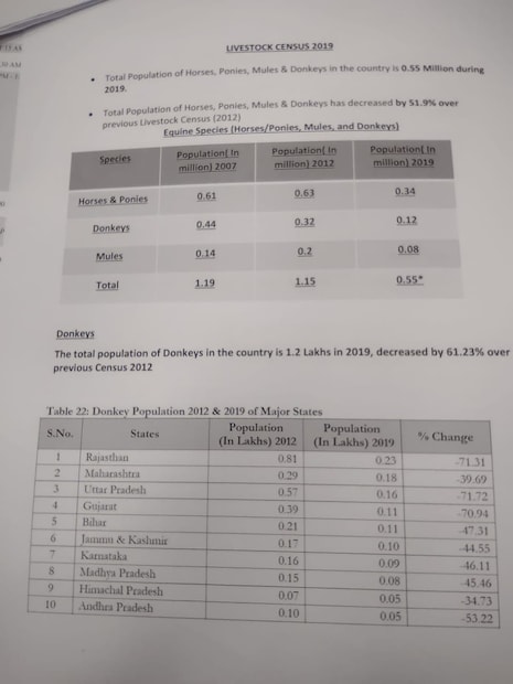 horses, mules, donkeys, donkeys population, Horses and Donkeys, Brook India, china business, china exports, china markets, horses population, గాడిదల సంఖ్య, గుర్రాల సంఖ్య, అంతరించిపోతున్న గుర్రాలు గాడిదలు,
