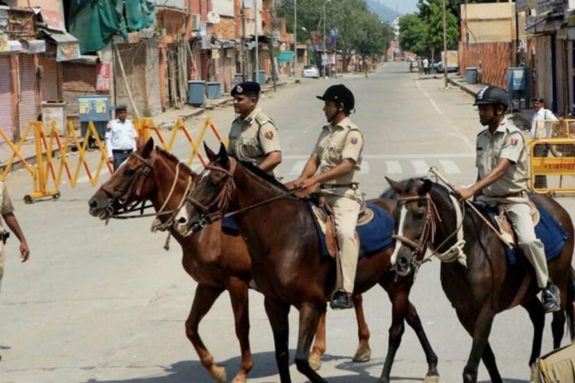 horses, mules, donkeys, donkeys population, Horses and Donkeys, Brook India, china business, china exports, china markets, horses population, గాడిదల సంఖ్య, గుర్రాల సంఖ్య, అంతరించిపోతున్న గుర్రాలు గాడిదలు,