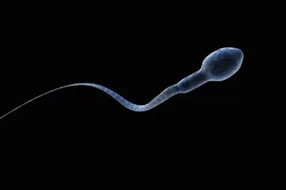 പ്രതീകാത്മക ചിത്രം