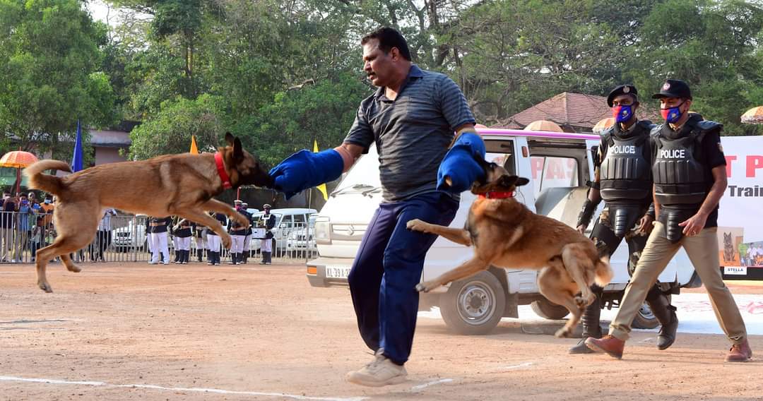  അൽ ക്വയ്‌ദ നേതാവ് ഒസാമ ബിൻ ലാദൻ, ഐ എസ് ഭീകരൻ അബൂബക്കർ അൽ ബാഗ്‌ദാദി എന്നിവരെ പിടികൂടാൻ അമേരിക്കയെ സഹായിച്ചത് ബെൽജിയം മലിനോയിസ് നായ്ക്കളാണ്