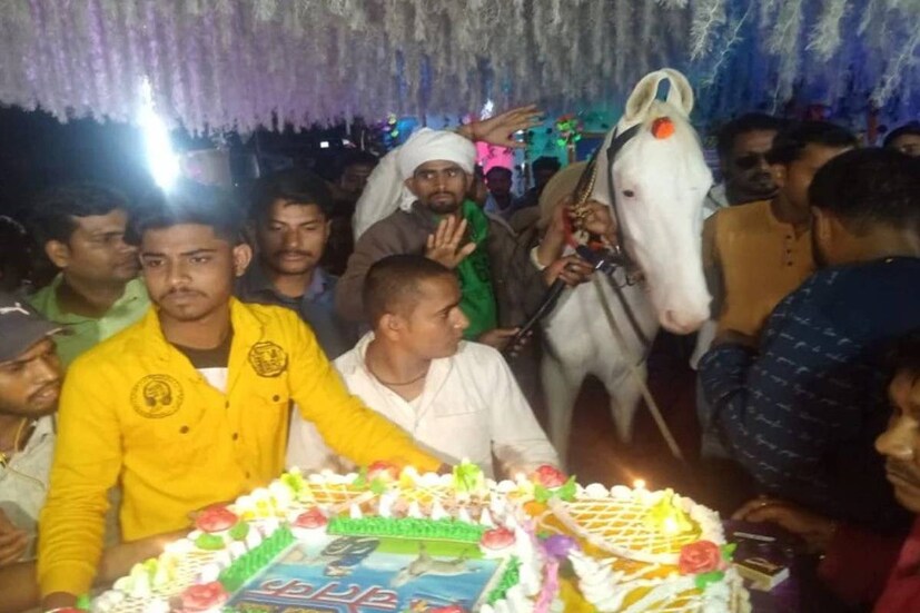  മൃഗങ്ങൾക്ക് എതിരായി വർദ്ധിക്കുന്ന അതിക്രമങ്ങളിൽ ഉള്ള സങ്കടവും ഗോലു പങ്കുവെച്ചു. ഇന്നത്തെ മനുഷ്യരേക്കാൾ കൂടുതൽ സ്നേഹം കാണിക്കുന്നത് മൃഗങ്ങളാണ്. ആളുകൾ ഒരിക്കലും മൃഗങ്ങളെ വെറും ഒരു മൃഗമായി മാത്രം കണാൻ പാടില്ല. വീട്ടിലെ ഒരു അംഗത്തെ പോലെ അവരെ സ്നേഹിക്കണം. മൃഗങ്ങളെ കൂടുതൽ സ്നേഹിക്കാൻ നാം ശീലക്കേണ്ടതുണ്ടെന്നും ഗോലു പറയുന്നു