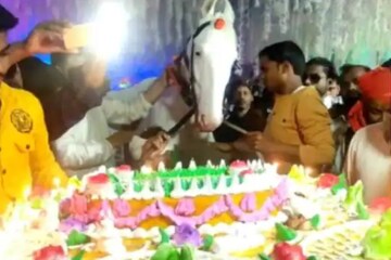 'കുടുംബത്തിലെ ഒരംഗം'; കുതിരയുടെ ജന്മദിനത്തിൽ വമ്പൻ പാർട്ടിയൊരുക്കി ബീഹാർ സ്വദേശി