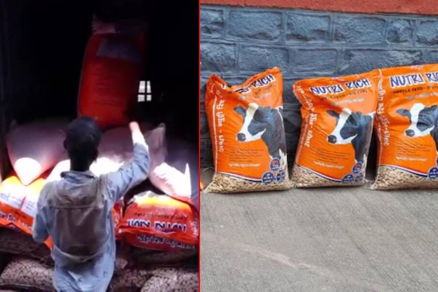  പൂനെ: കുട്ടികൾക്കായുള്ള ഉച്ചഭക്ഷണ പദ്ധതി പ്രകാരം സ്കൂളുലെത്തിച്ചു നൽകിയത് 'കാലിത്തീറ്റ'. മഹാരാഷ്ട്ര പൂനെയിലെ ഒരു സർക്കാർ സ്കൂളുകളിലാണ് ഉച്ചഭക്ഷണത്തിനായുള്ള ധാന്യത്തിന് പകരം കാലിത്തീറ്റ എത്തിയത്. സർക്കാർ ഉടമസ്ഥതയിലുള്ള ഈ സ്കൂളിന്‍റെ നടത്തിപ്പ് ചുമതല പൂനെ മുൻസിപ്പൽ കോർപ്പറേഷനാണ്.