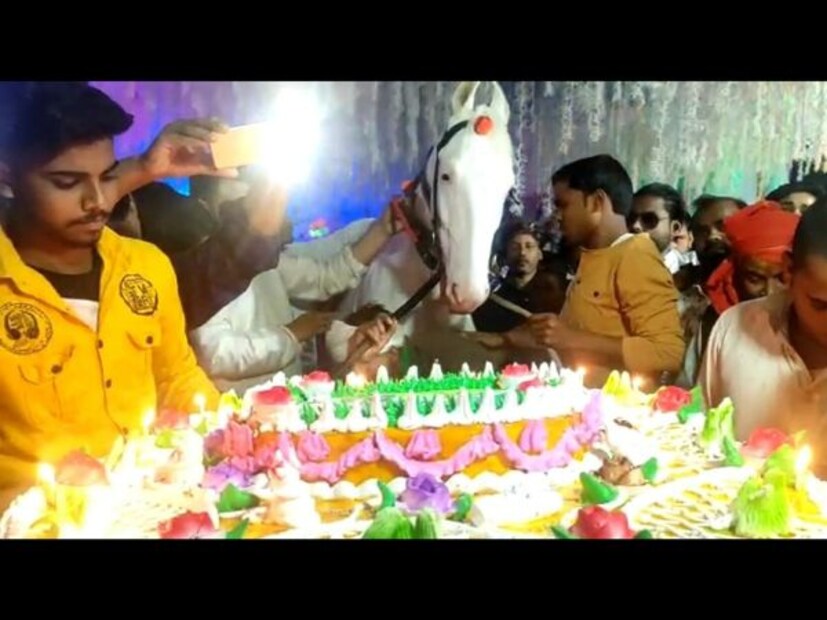  ആയിരക്കണക്കിന് രൂപ വിലയുള്ള ഒരു കേക്കും സമീപ വാസികളായ നിരവധി പേരെ വിളിച്ചുള്ള വലിയ വിരുന്നും 'ചേതക്' എന്ന തൻ്റെ കുതിരയുടെ ജന്മദിനത്തിന് ഇദ്ദേഹം ഒരുക്കി. തിങ്കളാഴ്ച്ച വൈകീട്ട് ആയിരുന്നു ചേതക്കിൻ്റെ ജന്മദിനാഘോഷം. രാവിലെ തന്നെ കുതിരയെ കുളിപ്പിച്ച് സുന്ദരനാക്കിയ ശേഷം അണിയിച്ച് ഒരുക്കിയിരുന്നു. (Image credit: IANS)