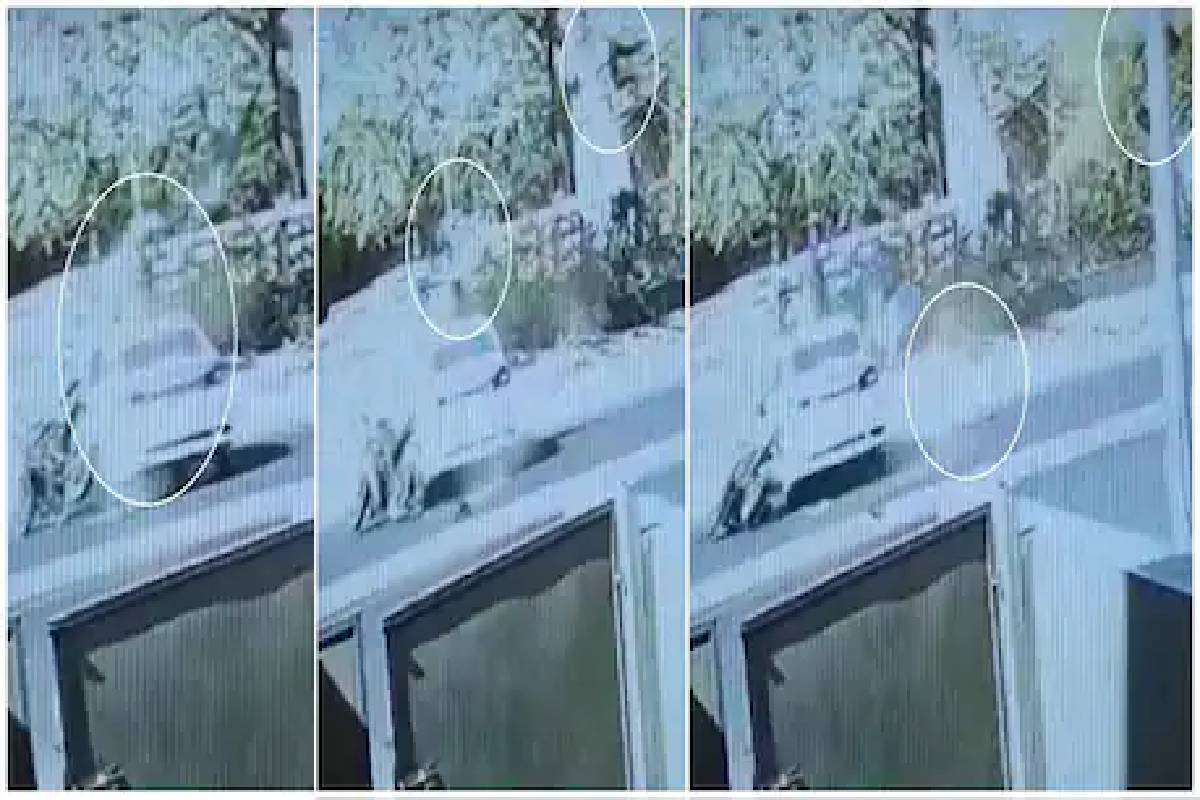 വീഡിയോ ദൃശ്യം 