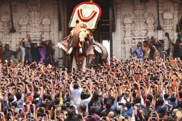 ഇത്തവണത്തെ തൃശൂർ പൂരത്തിന് തെച്ചിക്കോട്ട്കാവ് രാമചന്ദ്രനില്ല
