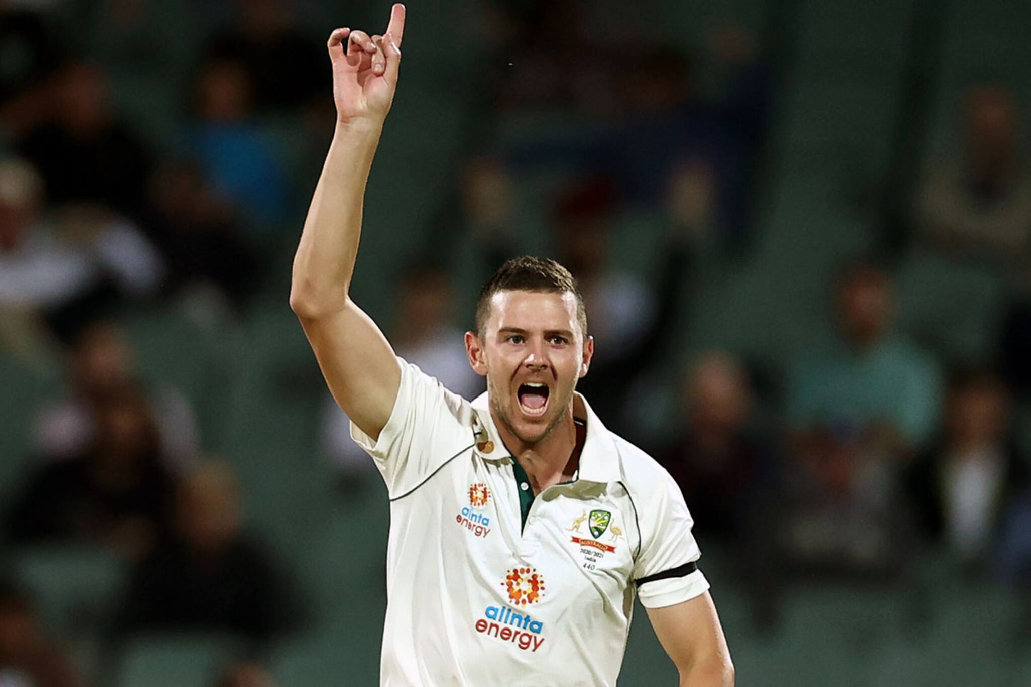 ഹെയ്സല്‍വുഡ് ഐപിഎല്ലില്‍നിന്ന് പിന്മാറാന്‍ കാരണം പൂജാരയോ? : കാരണം കണ്ടെത്തി ട്രോളന്മാര്‍