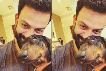 ഐ.പി.എൽ. ആവേശത്തിൽ പൃഥ്വിരാജിന്റെ വളർത്തുനായ സൊറോ ഐ.പി.എൽ. ആവേശത്തിൽ പൃഥ്വിരാജിന്റെ വളർത്തുനായ സൊറോ