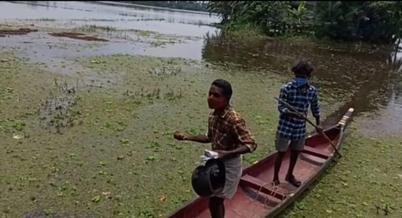  താറാവ് കർഷകനായ അച്ഛൻ ബാബുവിന് ചായ കൊടുത്തിട്ട് മടങ്ങുകയായിരുന്ന ബിജോ വെള്ളക്കെട്ടിലെ അനക്കം കണ്ട് നടത്തിയ തിരച്ചിലാണ് കുട്ടിയെ കണ്ടെത്തിയത്. ചെളിയിൽ താഴ്ന്ന അച്ചുവിനെ ബിജോ വാരിയെടുക്കുകയയിരുന്നു