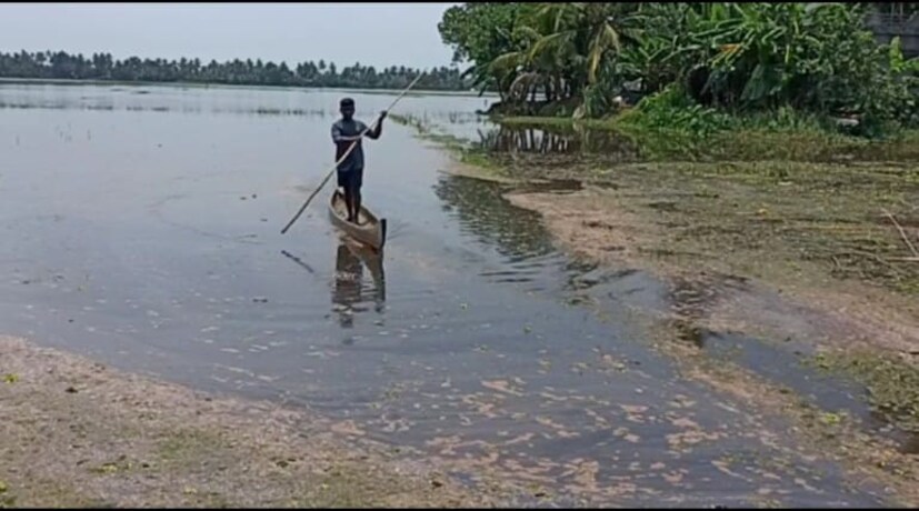  നിരവധി പേരാണ് അഭിനന്ദനങ്ങൾ അറിയിക്കാനായി ബിജോയെ തേടി എത്തിയത്. തലവടി വൊക്കേഷണൽ ഹയർ സെക്കൻഡറി സ്കൂളിലെ വിദ്യാർത്ഥിയാണ് ബിജോ.