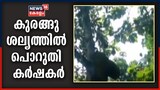 കുരങ്ങ് ശല്യത്തിൽ പൊറുതി മുട്ടി കാസർഗോഡ് മടിക്കൈയിലെ കർഷകർ