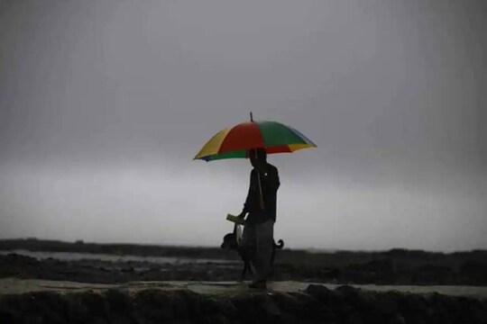 Rain