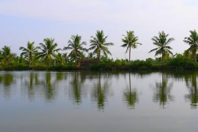 Image Credits: Shutterstock/Representational