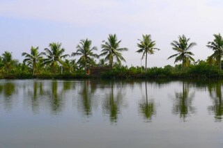 Image Credits: Shutterstock/Representational Image Credits: Shutterstock/Representational