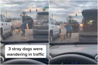 Credits: Instagram/ Nextdoor