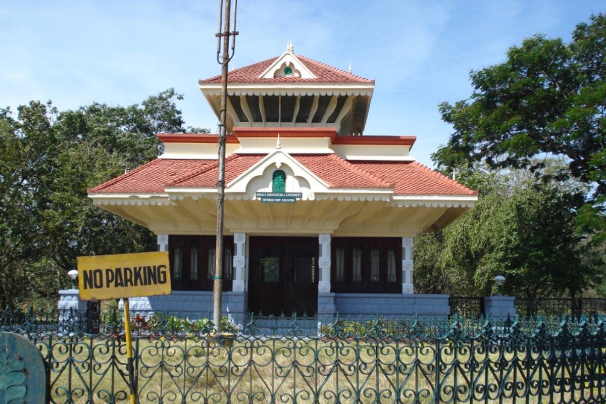 വൈസ് ചാൻസിലർ  എത്ര നെൽവിത്ത് കണ്ടെത്തി? ആരോപണം പരിശോധിക്കാൻ കൃഷി മന്ത്രി ഉത്തരവ്